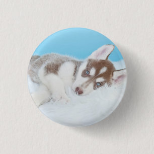 Kleiner Husky-Welpe auf einer Blankette Button