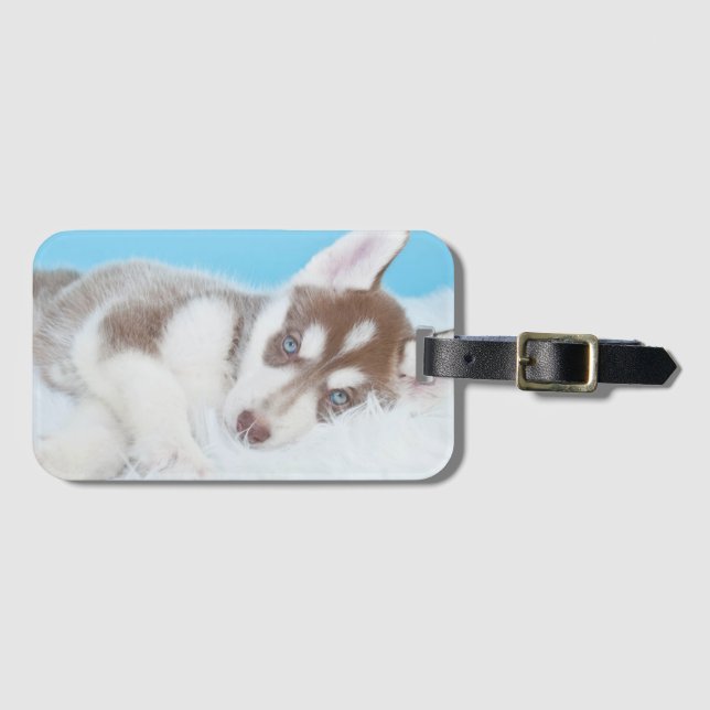 Kleiner Husky-Welpe auf einer Blankette Gepäckanhänger (Vorderseite (Horizontal))