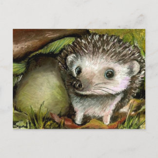 Kleiner Igel Postkarte