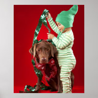 Kleiner Junge, der einen Hund schmückt