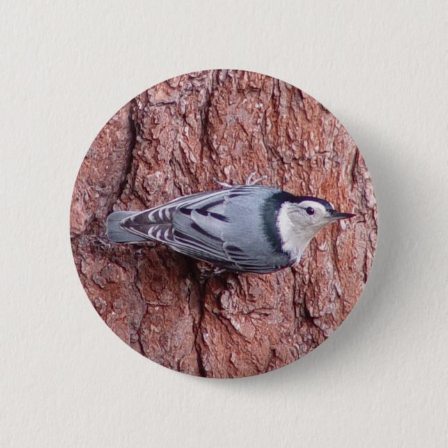 Kleiner Kleiber-Vogel-Knopf Button (Vorderseite)