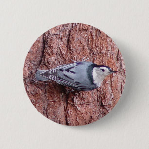 Kleiner Kleiber-Vogel-Knopf Button
