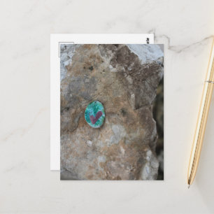 Kleiner Krautrock verborgen auf einem Felsen Postkarte