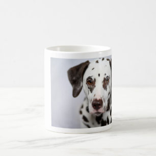 Kleiner Kuchen, die Dalmatinerkaffee-Tasse Kaffeetasse