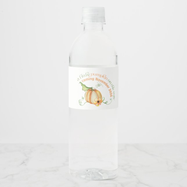 Kleiner Kürbis auf die neutrale Babydusche (Vorderseite)