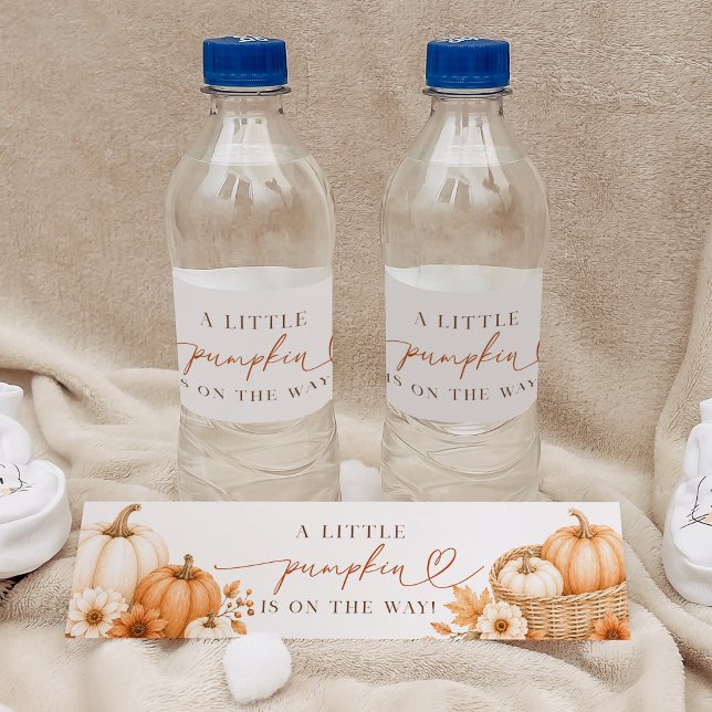 Kleiner Kürbis Herbst Babyshower (Von Creator hochgeladen)