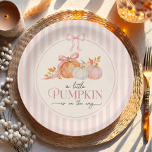 Kleiner Kürbis rosa Schleife Baby Shower Papierpla