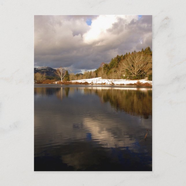 Kleiner langer Teich im Winter Postkarte (Vorderseite)