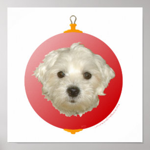 Kleiner maltesischer Weihnachtsschmuck Poster