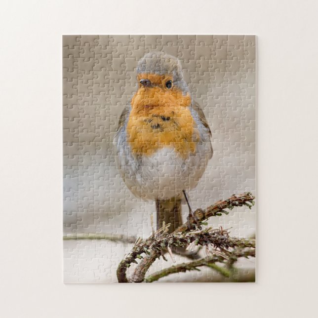 Kleiner niedlicher Rotkehlvogel (Vertikal)