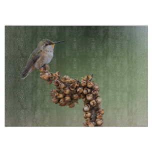 Kleiner Orange Hummingbird Schneidebrett