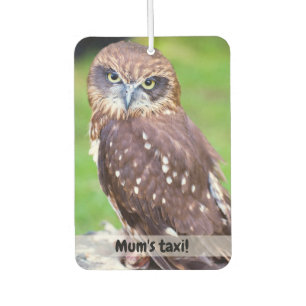 Kleiner Owl Car Lufterfrischer