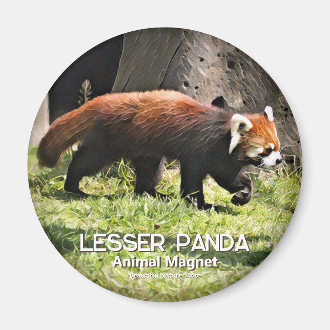 Kleiner Panda Magnet (Vorne)