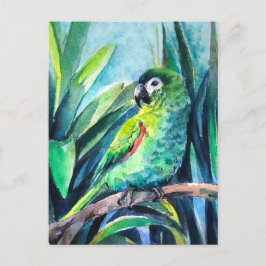 Kleiner Papagei Postkarte