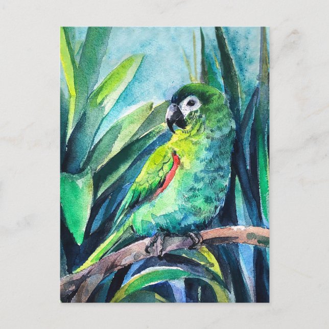 Kleiner Papagei Postkarte (Vorderseite)