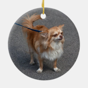 Kleiner Redhead Keramikornament