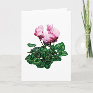 Kleiner rosa Cyclamen Feiertagskarte