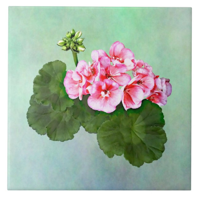 Kleiner Rosa Geranium Fliese (Vorderseite)