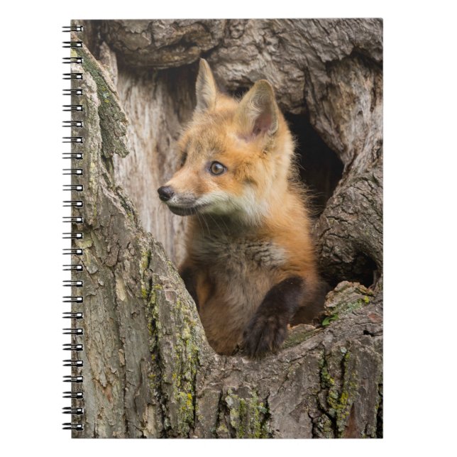 Kleiner Rotfuchs in einem Baumhaufen Notizblock (Vorderseite)