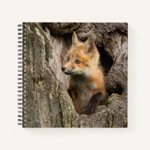 Kleiner Rotfuchs in einer Baumhöhle Notizbuch