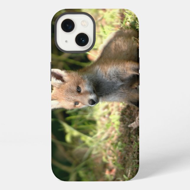 Kleiner Rotfuchs iPhone Hülle (Rückseite)