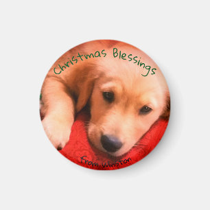 Kleiner, runder golden retriever-Welpen-Magnet Magnet