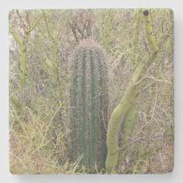Kleiner Saguaro-Kakteen, Arizona, Untersetzer aus 