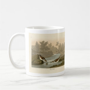 Kleiner Sandpiper von Audubons Vögeln in Amerika Kaffeetasse