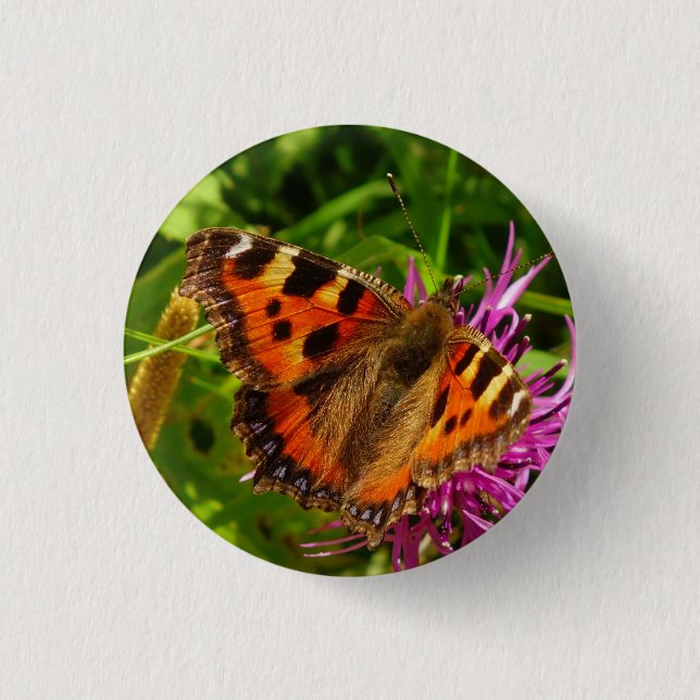 Kleiner Schildpatt-Schmetterlings-Knopf Button (Vorderseite)