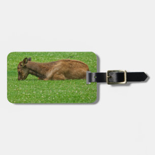 Kleiner Schlaf Gepäckanhänger