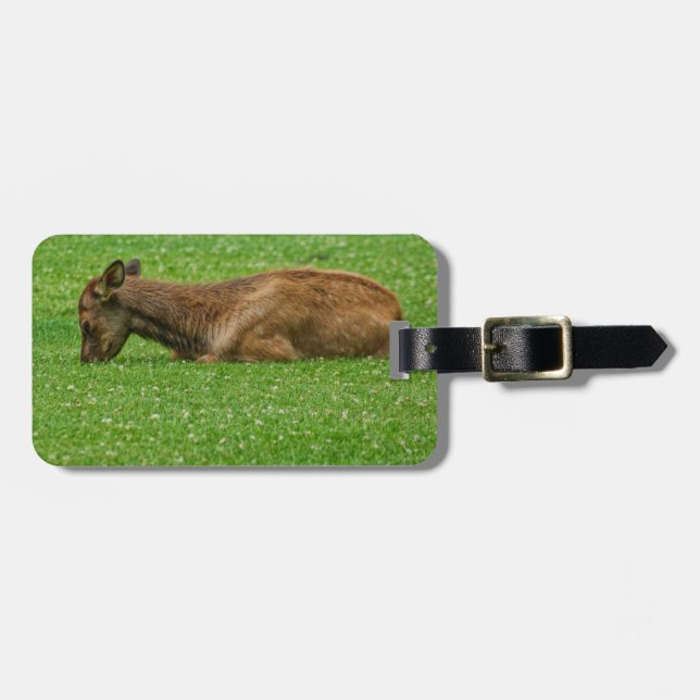 Kleiner Schlaf Gepäckanhänger (Vorderseite horizontal)