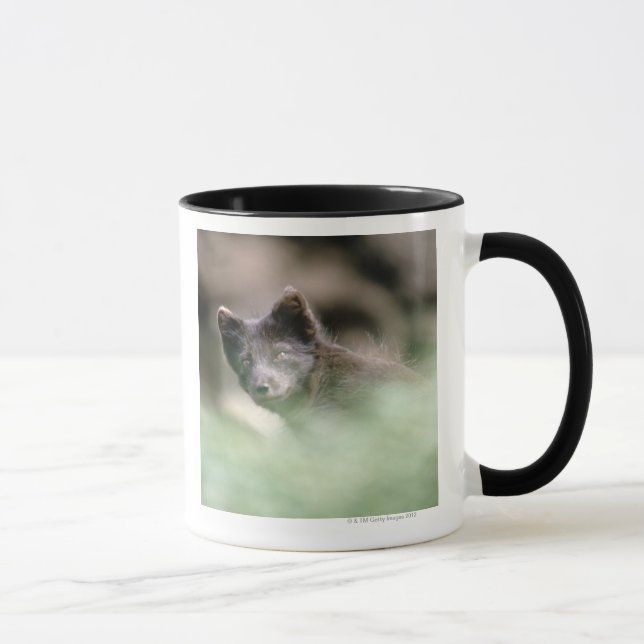 Kleiner schwarzer Wolf Tasse (Rechts)