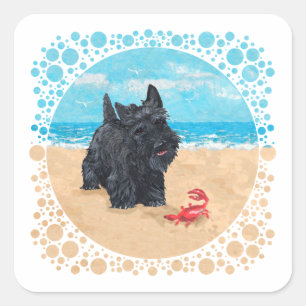 Kleiner Scottie findet einen Krebs am Strand Quadratischer Aufkleber