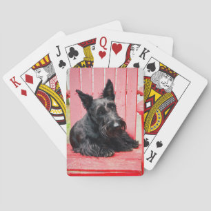 Kleiner Scottie in einem großen roten Stuhl Spielkarten