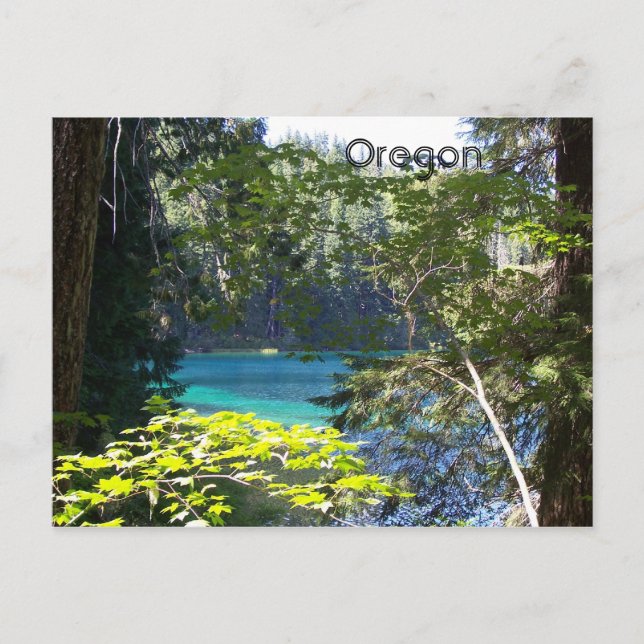 Kleiner See Postkarte (Vorderseite)