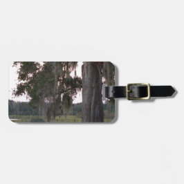 Kleiner See und moobedeckte Bäume Gepäckanhänger