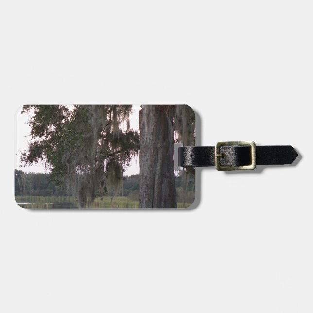 Kleiner See und moobedeckte Bäume Gepäckanhänger (Vorderseite horizontal)