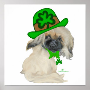 Kleiner St. Patrick's Day Pekingese Poster