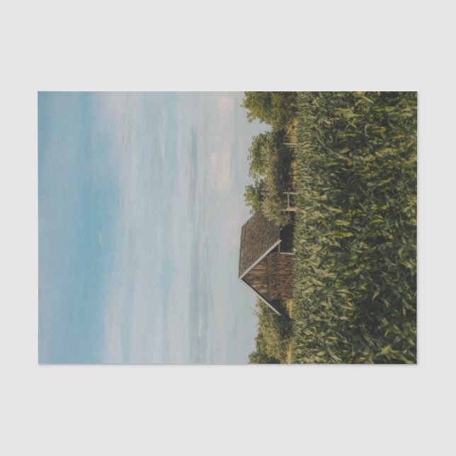 Kleiner Stall bis auf ein Cornfield Seidenpapier (Vorderseite)