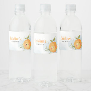Kleiner süßer Junge Zitrus Orange Baby Shower