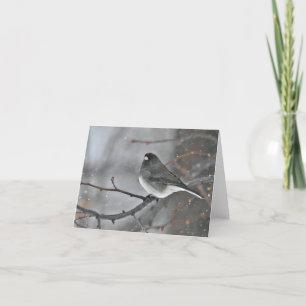 Kleiner Vogel auf einem Ast in der schneeweißen No Dankeskarte