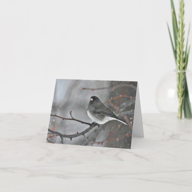 Kleiner Vogel auf einem Ast in der schneeweißen No Dankeskarte (Vorderseite)