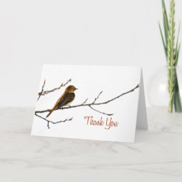Kleiner Vogel danken Ihnen zu merken Dankeskarte