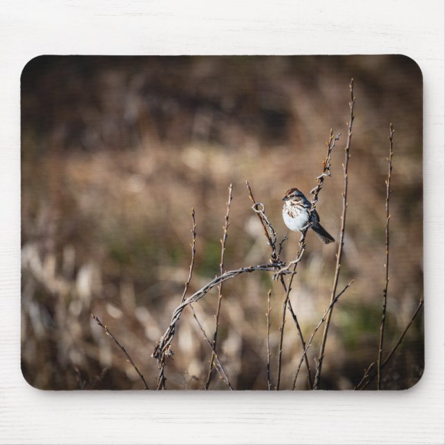 Kleiner Vogel Mousepad (Vorne)