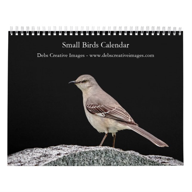 Kleiner Vogel (Singvogel) 2026 Kalender (Titelbild)
