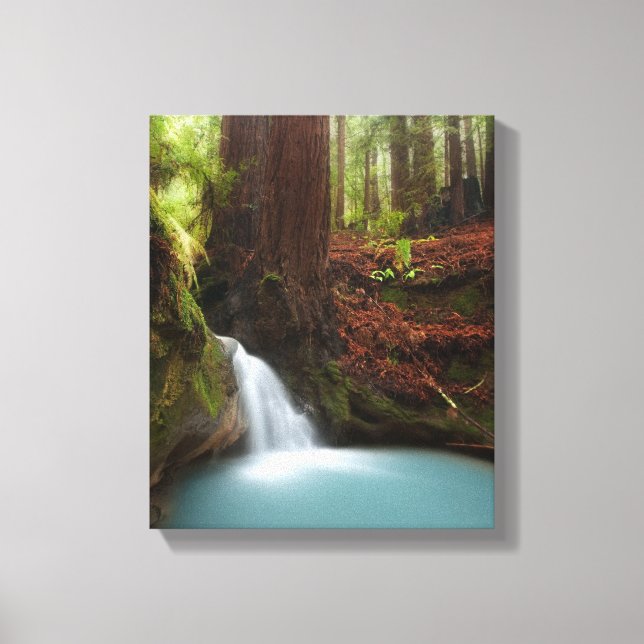 Kleiner Waldwasserfall Leinwanddruck (Vorderseite)