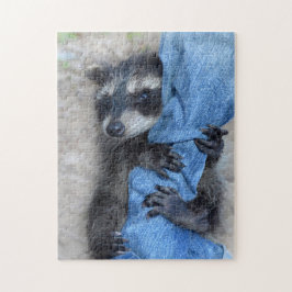 Kleiner Waschbär