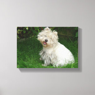 Kleiner weißer Hund auf Leinwand