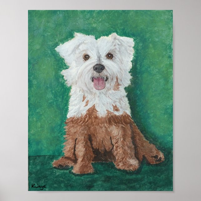 Kleiner weißer Hund nach dem Bad - Kunstdrucke Poster (Vorne)