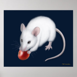 Kleiner weißer Mäusedruck Poster